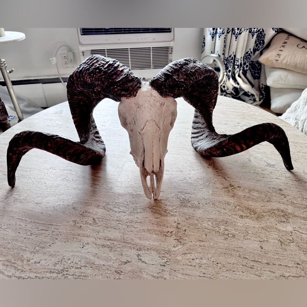 Brown and White Ram Skull Sculpture Art